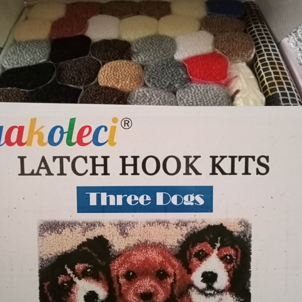 Latch Hook Kit